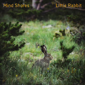 丝袜 强奸乱伦  尼龙袜亚洲
