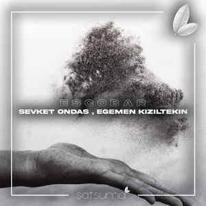 丝袜 强奸乱伦  尼龙袜亚洲
