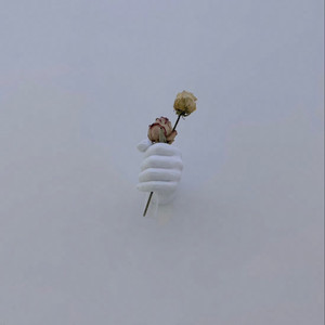 丝袜 强奸乱伦  尼龙袜亚洲
