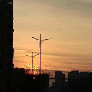 丝袜 强奸乱伦  尼龙袜亚洲
