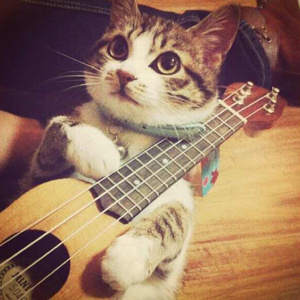 丝袜 强奸乱伦  尼龙袜亚洲
