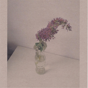 丝袜 强奸乱伦  尼龙袜亚洲
