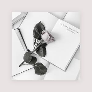 丝袜 强奸乱伦  尼龙袜亚洲
